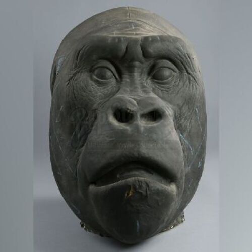 MIGHTY JOE YOUNG (1998) - Large &Atilde;&cent;&acirc;&sbquo;&not;&Euml;&oelig;Big Joe&Atilde;&cent;&acirc;&sbquo;&not;&acirc;&bdquo;&cent; Foam Head