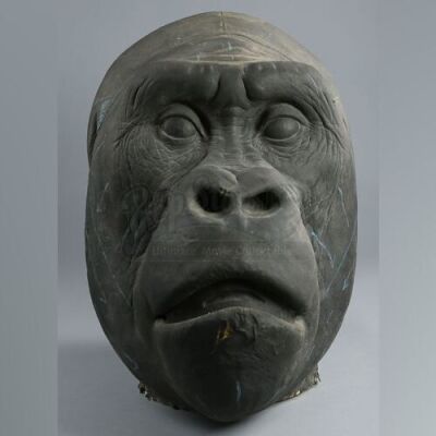 MIGHTY JOE YOUNG (1998) - Large &Atilde;&cent;&acirc;&sbquo;&not;&Euml;&oelig;Big Joe&Atilde;&cent;&acirc;&sbquo;&not;&acirc;&bdquo;&cent; Foam Head