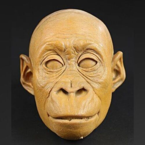 MIGHTY JOE YOUNG (1998) - Baby Joe Head