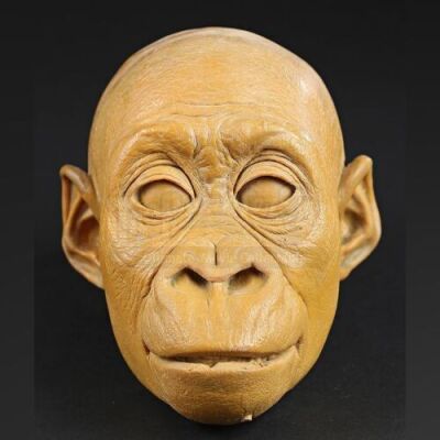 MIGHTY JOE YOUNG (1998) - Baby Joe Head