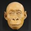 MIGHTY JOE YOUNG (1998) - Baby Joe Head