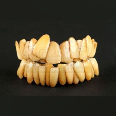 HOW THE GRINCH STOLE CHRISTMAS (2000) - Grinch (Jim Carrey) Teeth Set