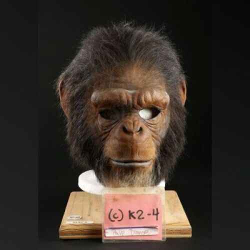 PLANET OF THE APES (2001) - Adult Chimp (Philip Damore) Mask