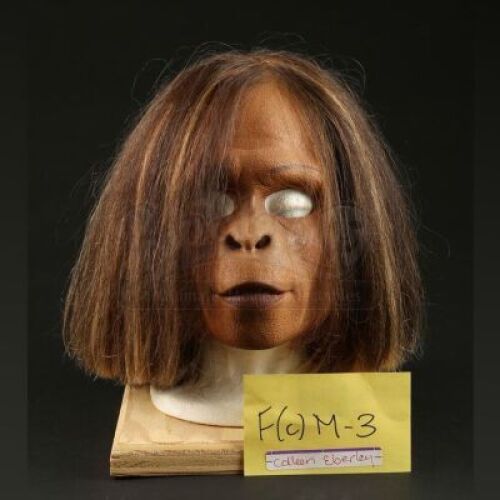 PLANET OF THE APES (2001) - Female Chimp (Coleen Eberley) Mask