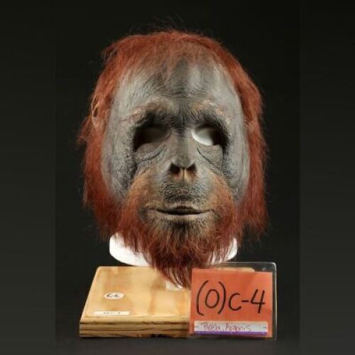 PLANET OF THE APES (2001) - Orangutan (Argenis Pirela) Mask
