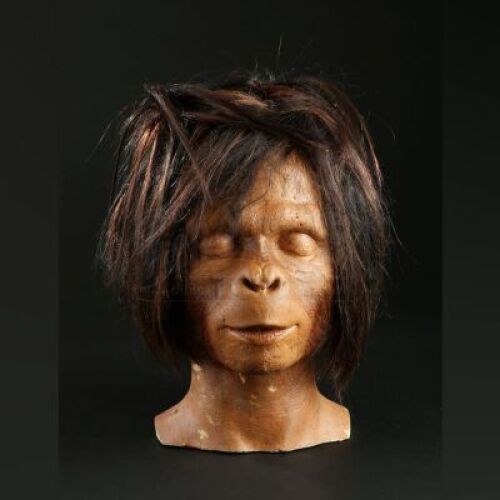 PLANET OF THE APES (2001) - Ari (Helena Bonham Carter) Paint and Hair Test