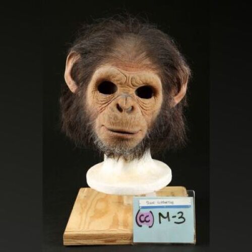 PLANET OF THE APES (2001) - Chimp (Shane Habberstad) Mask