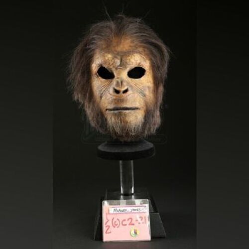 PLANET OF THE APES (2001) - Chimp (Joanna Gray) Face Mask