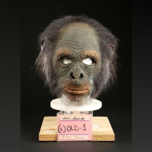 PLANET OF THE APES (2001) - Elder Chimp (Eden Aguilar) Mask