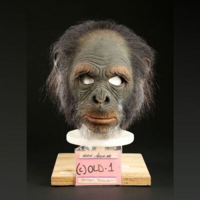 PLANET OF THE APES (2001) - Elder Chimp (Eden Aguilar) Mask