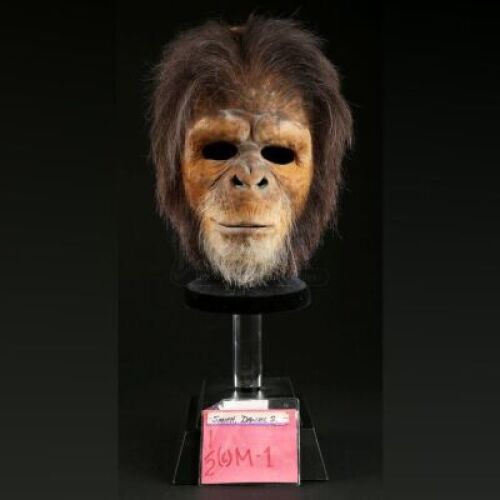 PLANET OF THE APES (2001) - Chimp (Daniel Smith) Face Mask
