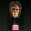 PLANET OF THE APES (2001) - Chimp (Daniel Smith) Face Mask
