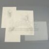 PLANET OF THE APES (2001) - Set of Four Hand-Drawn Early Ape Concepts