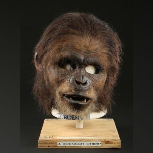 PLANET OF THE APES (2001) - Chimp (Jim Boensch) Mask