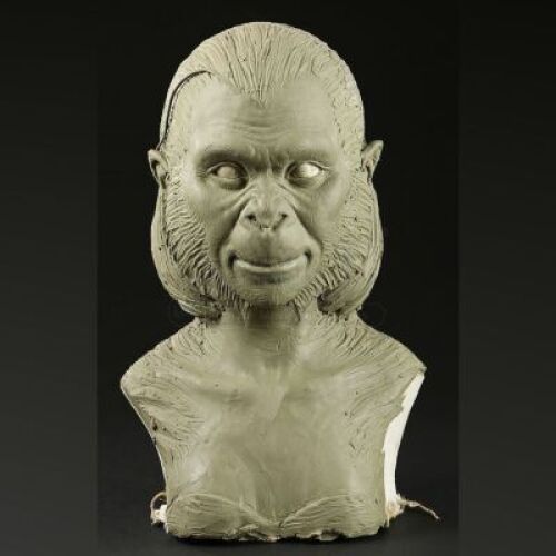 PLANET OF THE APES (2001) - Female Ape Bust Maquette