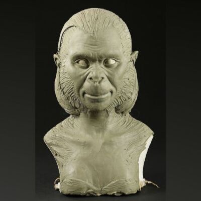 PLANET OF THE APES (2001) - Female Ape Bust Maquette