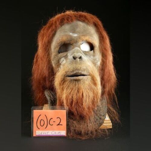 PLANET OF THE APES (2001) - Orangutan (Leroy Chin) Mask