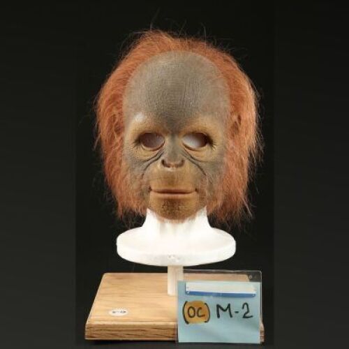 PLANET OF THE APES (2001) - Orangutan Child Mask