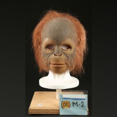 PLANET OF THE APES (2001) - Orangutan Child Mask
