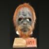 PLANET OF THE APES (2001) - Orangutan (Zdenek Hamouz) Mask