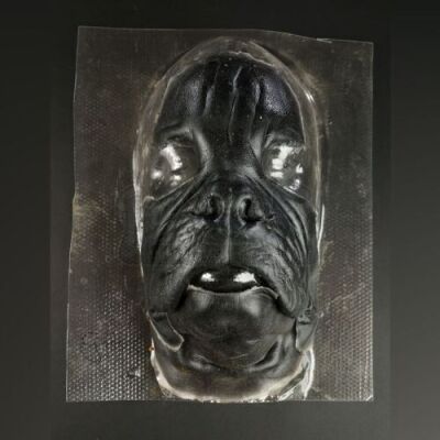 MEN IN BLACK II (2002) - Frank the Pug Silicone Appliance Lot
