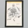 MEN IN BLACK II (2002) - Printed Flying Jarra Concept Art