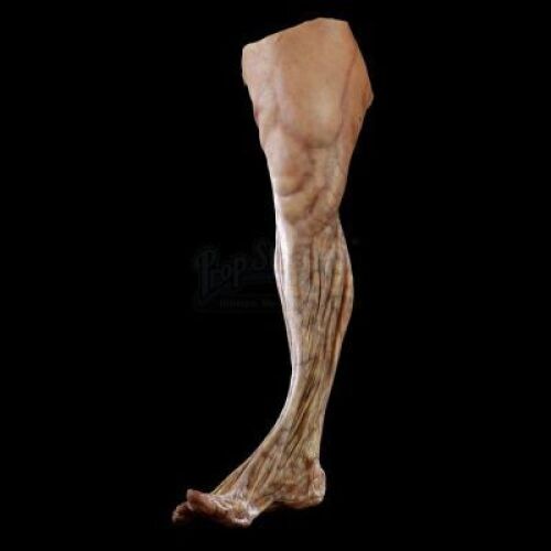 THE RING (2002) - Corpse Leg