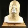THE HAUNTED MANSION (2003) - Axeman Ghoul (Frank Rydberg) Cowl Appliance