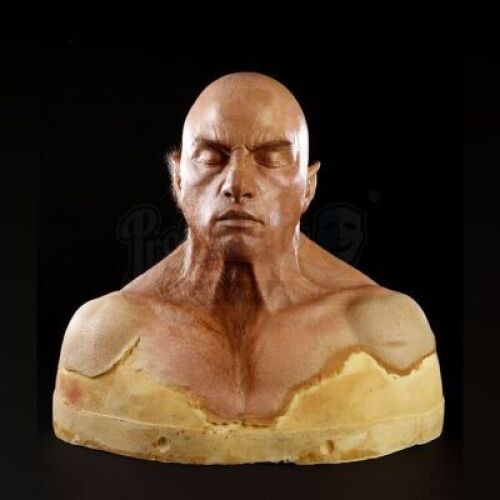 CURSED (2005) - Jimmy Myers (Jesse Eisenberg) Transformation Paint Test Bust