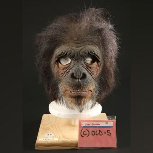 PLANET OF THE APES (2001) - Elder Chimp Mask