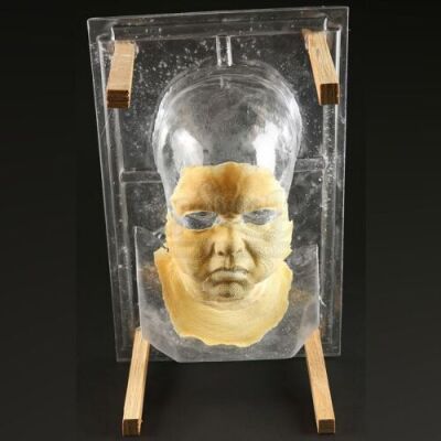 THE RING (2002) - Dead Samara (Daveigh Chase) Facial Appliance Lot