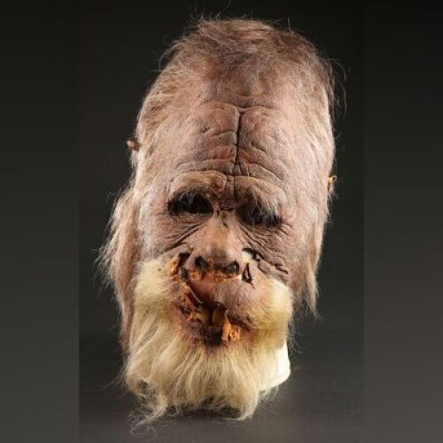 HARRY AND THE HENDERSONS (1987) - Harry Stunt Head