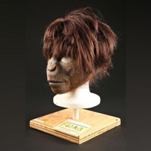 PLANET OF THE APES (2001) - Female Chimp (Patricia Eskenazi) Mask