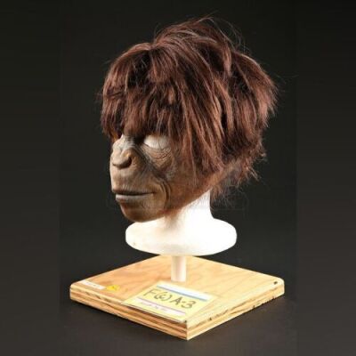 PLANET OF THE APES (2001) - Female Chimp (Patricia Eskenazi) Mask