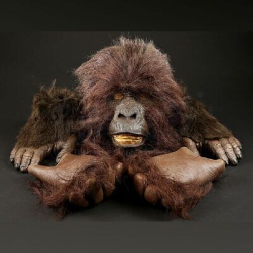 GORILLAS IN THE MIST (1988) - Gorilla Face, Hands, and Feet Lot