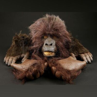 GORILLAS IN THE MIST (1988) - Gorilla Face, Hands, and Feet Lot