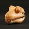 REX (1992) - Rex Underskull