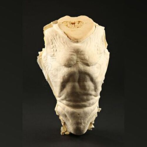 GREMLINS 2: THE NEW BATCH (1990) - Foam Gremlin Torso