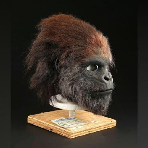 PLANET OF THE APES (2001) - Gorilla (Alex Marasco) Mask