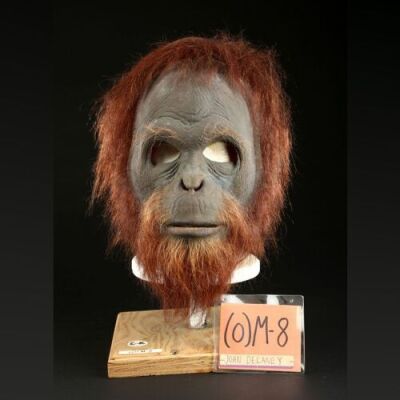 PLANET OF THE APES (2001) - Orangutan (John Delaney) Mask