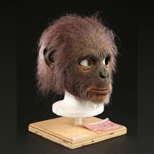 PLANET OF THE APES (2001) - Elder Chimp (Jeremiah Scheible) Mask