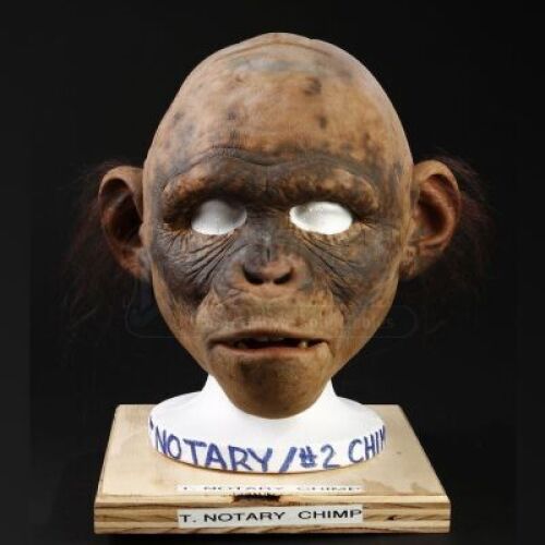 PLANET OF THE APES (2001) - Chimp (T. Notary) Mask