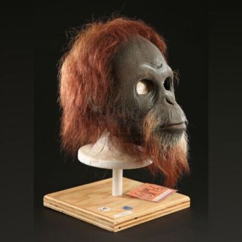 PLANET OF THE APES (2001) - Orangutan (Jesus Moctezuma) Mask
