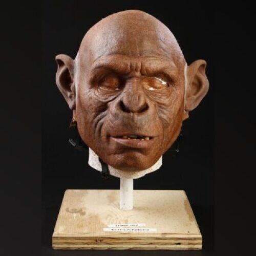 PLANET OF THE APES (2001) - Thade Chimp Mask
