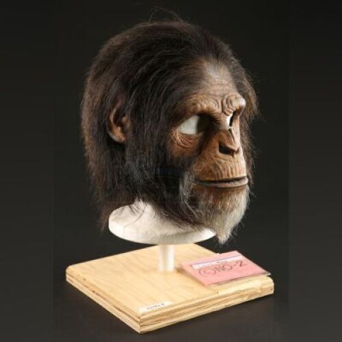 PLANET OF THE APES (2001) - Male Chimp Mask