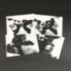 GREMLINS 2: THE NEW BATCH (1990) - Gizmo Xerox Photos