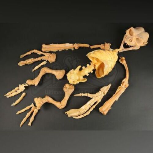 GREMLINS 2: THE NEW BATCH (1990) - Gremlin Skeleton