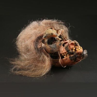 GREYSTOKE: THE LEGEND OF TARZAN, LORD OF THE APES (1984) - Mechanical Ape Underskull
