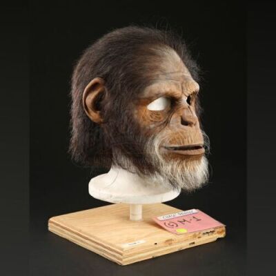 PLANET OF THE APES (2001) - Elder Chimp (Chase Penny) Mask