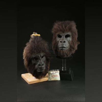 PLANET OF THE APES (2001) - Pair of Gorilla Face Masks